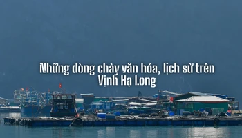 Những dòng chảy văn hóa, lịch sử trên Vịnh Hạ Long