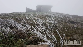Băng tuyết đã xuất hiện trên Khu du lịch Mẫu Sơn, Lộc Bình (Lạng Sơn).
