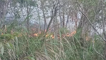 Hiện trường cháy rừng đặc dụng Tây Côn Lĩnh.