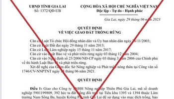 Gia Lai bác bỏ thông tin cấp gần 400 ha rừng cho doanh nghiệp