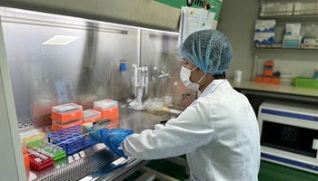 Kỹ thuật viên Trung tâm Giám định ADN thực hiện tách chiết ADN mẫu hài cốt liệt sĩ.