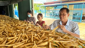 Thương binh Trần Văn Khi hướng dẫn lao động dân tộc Khmer cách chế biến đặc sản bong bóng cá biển. (Ảnh NGUYỄN PHONG)