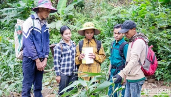 Tổ bảo vệ rừng thôn Hồ, xã Hướng Sơn, huyện Hướng Hóa, là một trong những nhóm hộ được hưởng lợi từ dự án để góp phần phát triển bền vững.