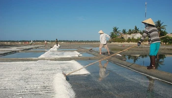 Nghề làm muối ở Sa Huỳnh có truyền thống lâu đời (từ thế kỷ 19) nên người dân rất gắn bó và có nhiều kinh nghiệm sản xuất muối.