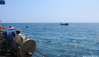 Quảng Ngãi yêu cầu kiểm soát 100% hoạt động tàu cá của tỉnh trên biển qua hệ thống giám sát tàu cá.