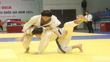 Một động tác kỹ thuật đẹp mắt trong môn Jujitsu.