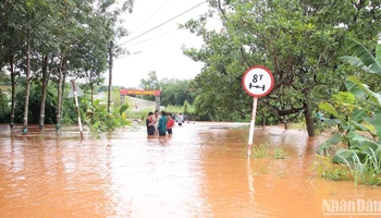 Mưa lớn gây ngập cục bộ nhiều nơi ở Bình Phước.