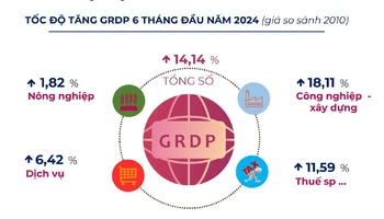 Các ngành kinh tế đóng góp tăng trưởng của Bắc Giang 6 tháng đầu năm 2024.