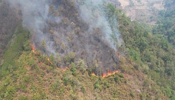 Hiện trường vụ cháy rừng tự nhiên tại xã Mường Báng, huyện Tủa Chùa.