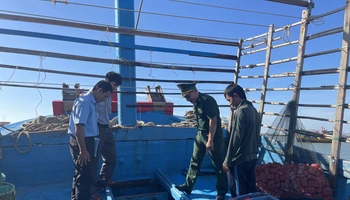 Lực lượng chức năng kiểm tra tàu cá tại cảng cá Phan Thiết