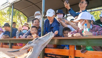 Du khách tham quan vườn thú tại Khu đô thị kinh tế du lịch NovaWorld Phan Thiết.