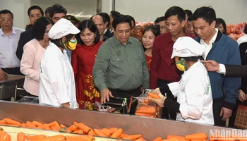 Thủ tướng Phạm Minh Chính thăm cơ sở sơ chế cà rốt của Hợp tác xã Dịch vụ nông nghiệp Đức Chính. 