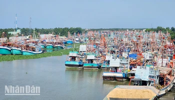 Tàu cá neo đậu tại huyện Châu Thành, tỉnh Kiên Giang.