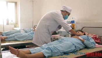 Nhiều ca sốt xuất huyết nhập viện điều trị tại Khoa nhiễm Bệnh viện Đa khoa tỉnh Phú Yên. 