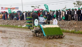 Trình diễn máy cấy trên cánh đồng thuộc xã Yên Thắng (Yên Mô, Ninh Bình) trong Ngày hội công nghệ Globalcheck. (Ảnh: XUÂN TRƯỜNG)