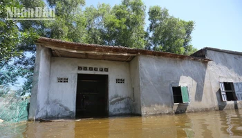Một số hộ dân bị ngập lụt giữa mùa nắng nóng.