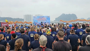 Quảng Ninh tổ chức lễ đón, chào mừng 11 đội đua thuyền buồm vòng quanh thế giới đến hạ Long, Quảng Ninh.