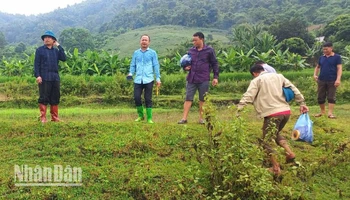 Kiểm tra, đánh giá tình hình sạt lở tại bản Nà Mện, xã Nậm Ty, huyện Sông Mã. (Ảnh: LÒ HÀ)