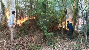 Chữa cháy rừng tại TP Bắc Giang ngày 1/11.