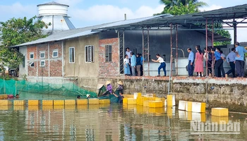 Đoàn giám sát của Tỉnh uỷ Vĩnh Long tham quan mô hình sản xuất cá linh tại xã Mỹ Phước, huyện Mang Thít, tỉnh Vĩnh Long. 