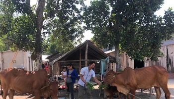 Tây Ninh triển khai các dự án phát triển kinh tế-xã hội vùng đồng bào dân tộc thiểu số.