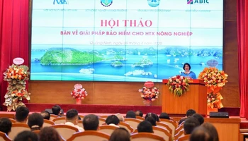 Chủ tịch Liên minh Hợp tác xã Việt Nam Cao Xuân Thu Vân phát biểu tại hội thảo.