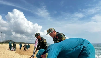 Lực lượng chức năng của tỉnh Phú Yên vẫn thu gom dầu vón cục.