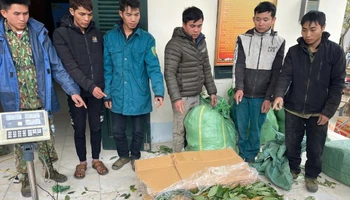 Các đối tượng và tang vật của vụ án.