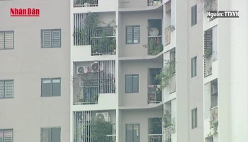 [Video] Long An rút ngắn 30% thời gian thực hiện thủ tục với dự án nhà ở xã hội