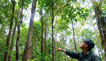 Lực lượng chuyên trách tuần tra bảo vệ rừng.
