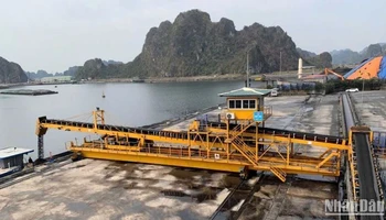 Trong quý I, ngành than đã sản xuất 10,5 triệu tấn than nguyên khai, sản xuất 10,05 triệu tấn than sạch; tiêu thụ 12,71 triệu tấn than; trong đó, than cung ứng cho sản xuất điện đạt 10,8 triệu tấn.