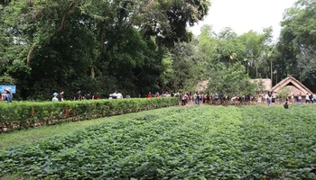 Hàng nghìn người dân, du khách đã về thăm khu Di tích lịch sử quốc gia đặc biệt Kim Liên - Quê hương của Chủ tịch Hồ Chí Minh.