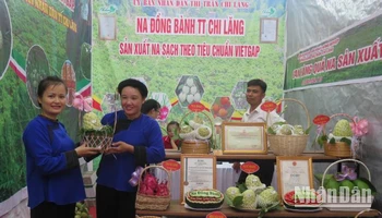 Sản phẩm quả na Chi Lăng (huyện Chi Lăng) được trưng bày tại Chương trình quảng bá, tiêu thụ na. 