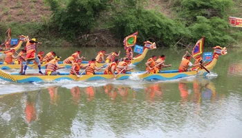 Thi bơi chải tại Lễ hội.