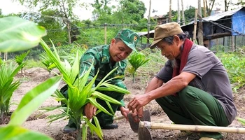 Cán bộ Đồn Biên phòng Dục Nông (Bộ Chỉ huy Bộ đội Biên phòng tỉnh Kon Tum) hướng dẫn người dân canh tác cây trồng. (Ảnh: MAI HƯƠNG)