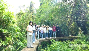 Du khách trẻ tham quan, trải nghiệm dưới tán rừng tràm xanh mướt tại Xẻo Quít, khu “căn cứ lòng dân”. (Ảnh: HỮU NGHĨA)
