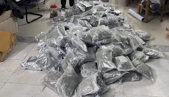 Tang vật hơn 153kg ma túy cần sa được lực lượng Công an tỉnh Tuyên Quang thu giữ.