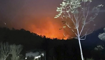 Đám cháy khởi phát từ địa bàn tỉnh Thái Nguyên cháy lan sang khu vực núi Ông Mo ở xã Trung Yên, huyện Sơn Dương, tỉnh Tuyên Quang.