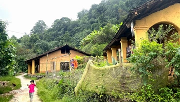 Những ngôi nhà trình tường hơn 60 năm tuổi.