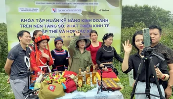 Thành viên của các Hợp tác xã trên địa bàn tỉnh tham gia các lớp nâng cao kỹ năng kinh doanh trên nền tảng số.