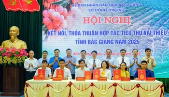 Ký kết hợp tác tiêu thụ vải thiều Bắc Giang 2025.