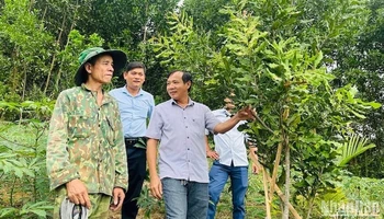 Chương trình Mỗi xã một sản phẩm hỗ trợ người dân miền núi phát triển kinh tế hộ gia đình.