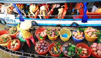Du khách trải nghiệm cảnh mua bán trái cây trên chợ nổi Cái Răng.