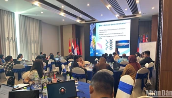 Quang cảnh một buổi trao đổi trong khuôn khổ Chương trình Chống khai thác thủy sản IUU và thúc đẩy nghề cá bền vững ở Đông Nam Á. (Ảnh: HẢI YẾN)