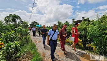 Khách du lịch trong và ngoài nước rất thích thú khi đến thăm làng vườn Bách Thuận (huyện Vũ Thư, tỉnh Thái Bình).