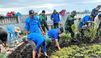 Đoàn viên thanh niên xã Sín Thầu, huyện Mường Nhé trồng cây quanh khuôn viên Cột cờ A Pa Chải.