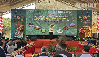 Quang cảnh hội thảo