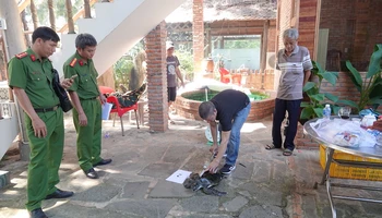 Công an đang kiểm tra tình trạng sức khỏe của các con rùa.