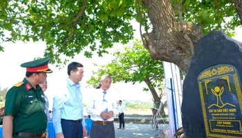 Các đại biểu nghe thuyết minh về cây bàng ở đảo Cồn Cỏ vừa được công nhận cây di sản Việt Nam.