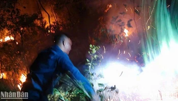 Cơ quan chức năng huy động lực lượng, tiếp cận hiện trường thực hiện các biện pháp dập lửa. 